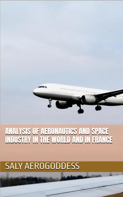Analysis of the global and French aerospace sector