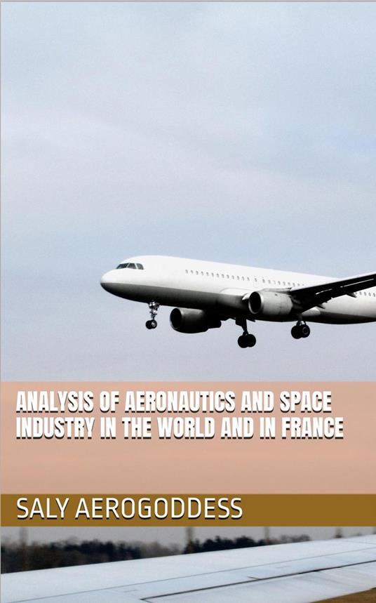 Analysis of the global and French aerospace sector