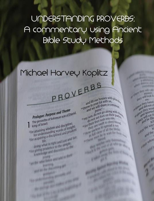 Understanding Proverbs - Michael Harvey Koplitz - ebook