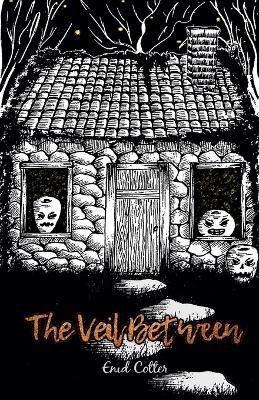 The Veil Between - Enid Cotter - cover