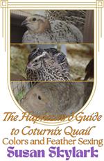 The Haphazard Guide to Coturnix Quail Colors and Feather Sexing