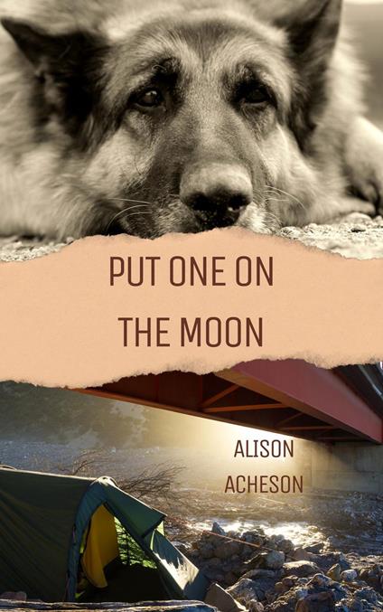 Put One On the Moon - Alison Acheson - ebook