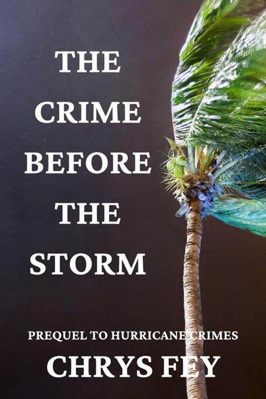 The Crime Before the Storm (Prequel to Hurricane Crimes)
