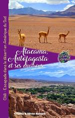 Atacama, Antofagasta et les Environs