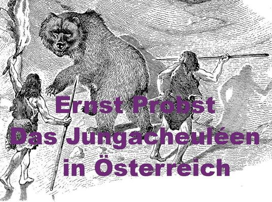 Das Jungacheuléen in Österreich