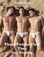 Virgin Twinks' First Time: Gay Erotica