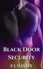 Black Door Security