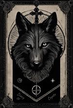 Diary Of Coyote