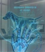 Holograms Engraved in My Memory