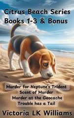 Citrus Beach Series, Books 1-3 & Bonus