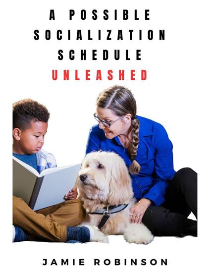 A Possible Socialization Schedule Unleashed