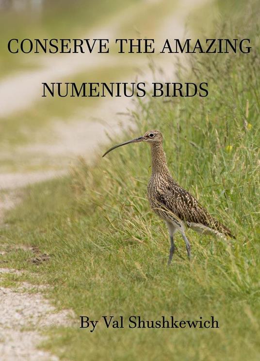 Conserve the Amazing Numenius Birds