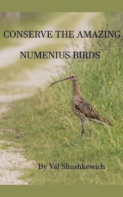 Conserve the Amazing Numenius Birds - Val Shushkewich - cover