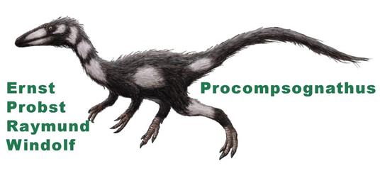 Procompsognathus
