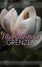 Überschrittene Grenzen: Eine Variation von Stolz und Vorurteil