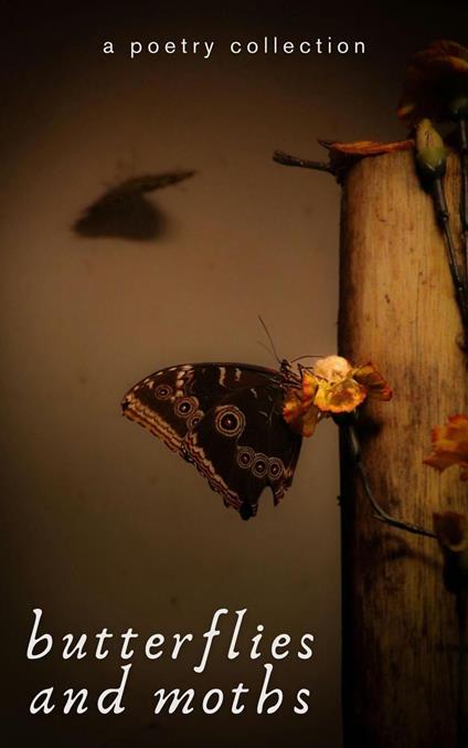 Butterflies and Moths - Anonymous - ebook