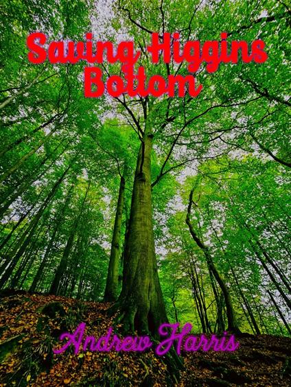 Saving Higgins Bottom