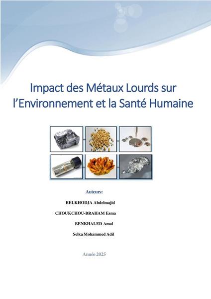 Impact des Métaux Lourds sur l’Environnement et la Santé Humaine