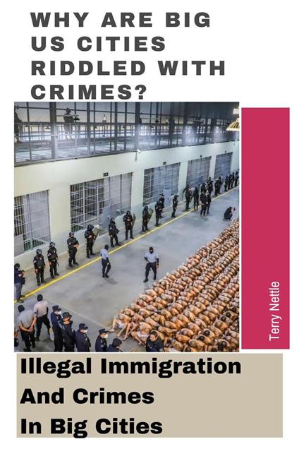Why Are Big US Cities Riddled With Crimes?: Illegal Immigration And Crimes In Big Cities