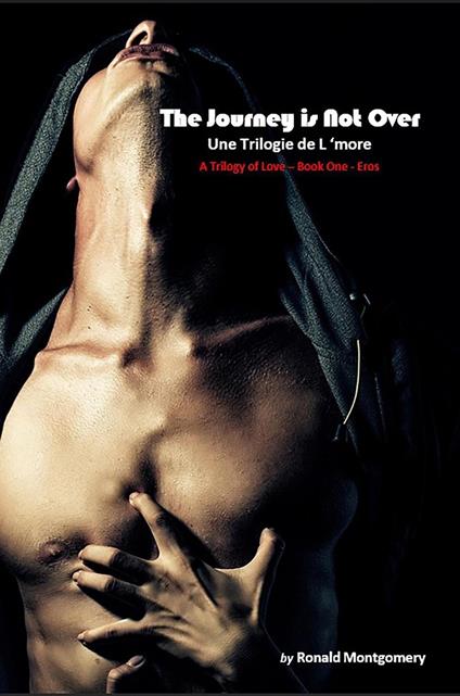 The Journey is Not Over - Ronald Montgomery - ebook