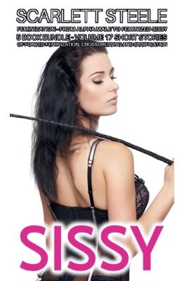Sissy Feminization - From Alpha Male to Feminized Sissy - 5 Book Bundle - Volume 17 Short Stories of Forced Feminization, Crossdressing and Sissification - Scarlett Steele - cover