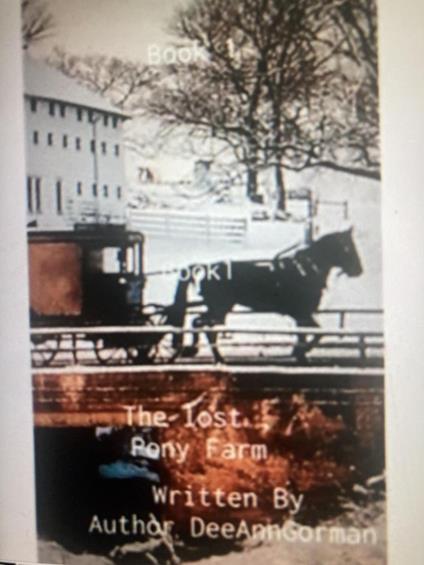 The Lost Pony Farm