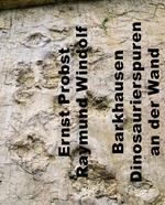 Barkhausen. Dinosaurierspuren an der Wand