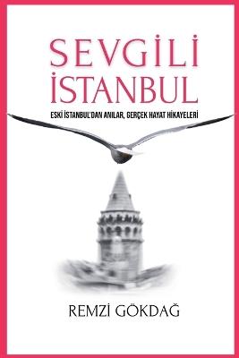 Sevgili Istanbul - Remzi Gökdag - cover