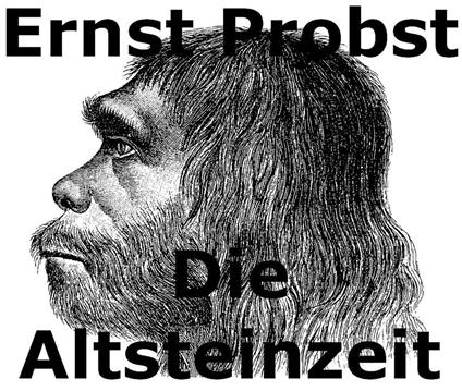 Die Altsteinzeit