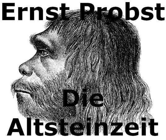 Die Altsteinzeit