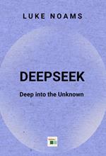 DeepSeek: Deep into The Unknown