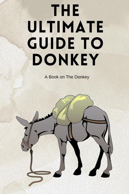 The Ultimate Guide to Donkey