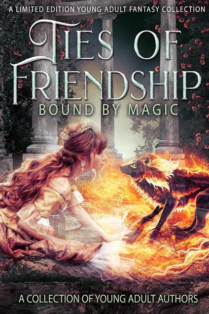 Ties of Friendship: A Young Adult Fantasy Anthology - R.C. Barnes,Joli Campbell,Jenna D. Morrison,Cassie Greutman - ebook
