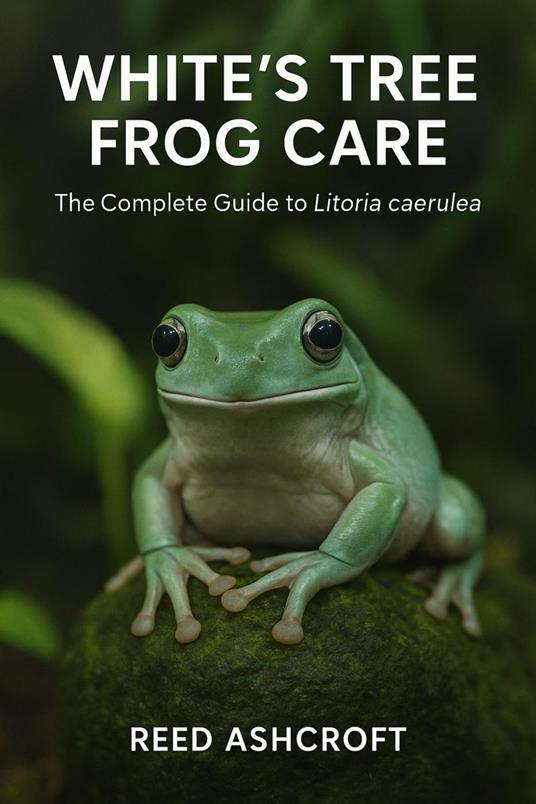 White’s Tree Frog Care The Complete Guide to Litoria caerulea