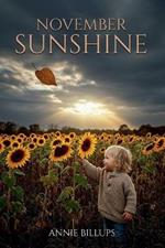 November Sunshine