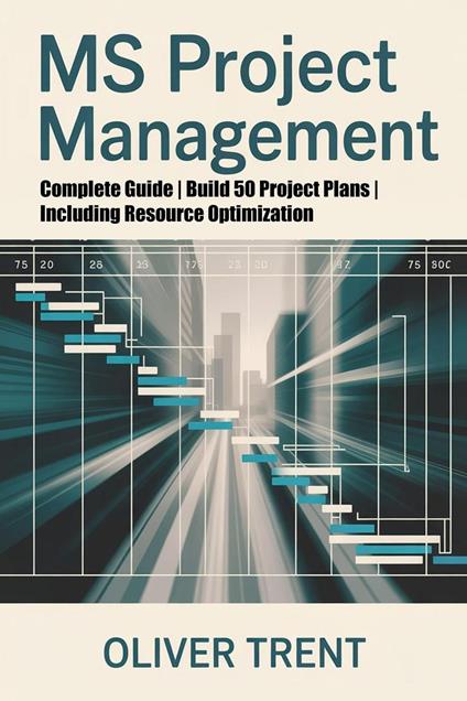 MS Project Management