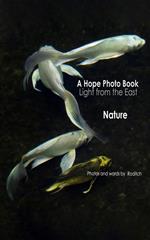 A Hope Photo Book - Light from the East - Nature