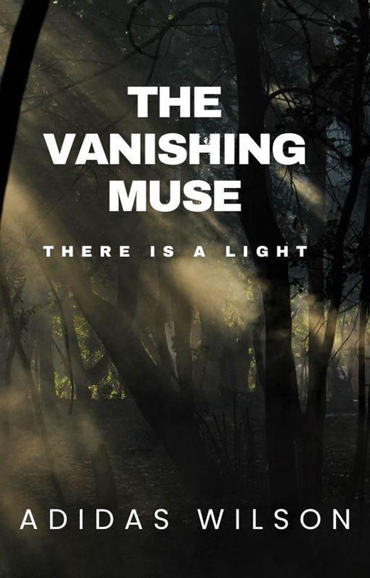 The Vanishing Muse - There Is A Light