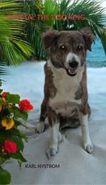Crystal the Dog King