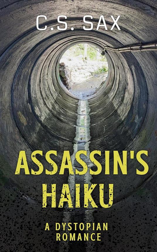 Assassin's Haiku