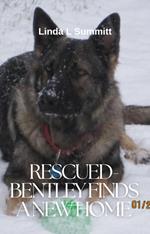 Rescued-Bentley Finds a New Home
