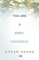 You Are a Consciousness