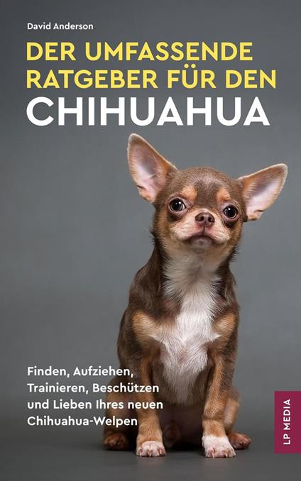 Der Umfassende Ratgeber Für Den Chihuahua
