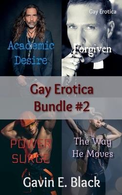 Gay Erotica Bundle #2 - Gavin E Black - cover