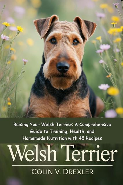 Welsh Terrier