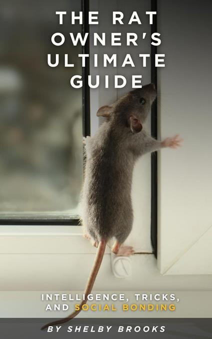 The Rat Owner's Ultimate Guide: Intelligence, Tricks, and Social Bonding