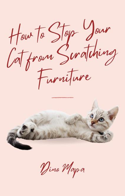 How to Stop Your Cat from Scratching Furniture