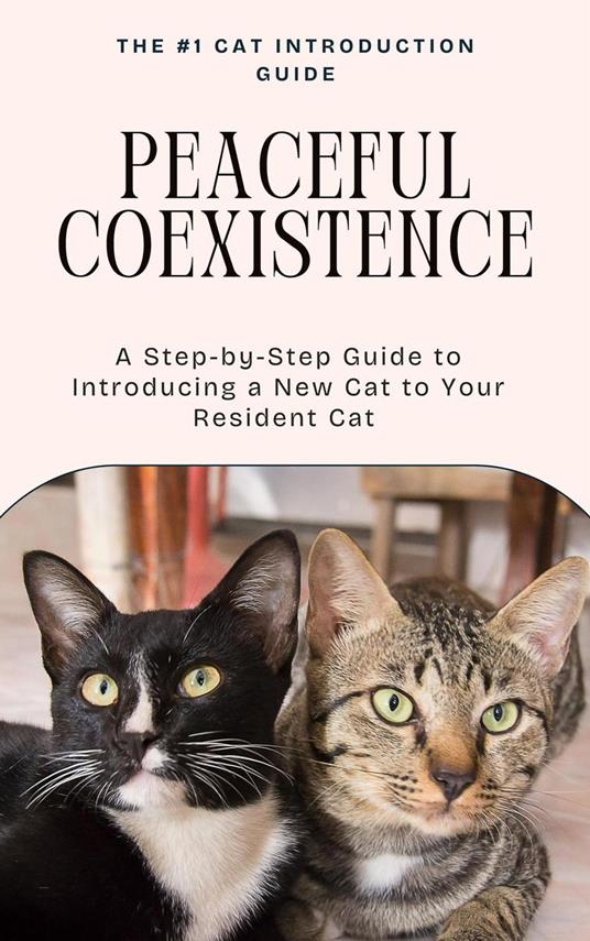 Peaceful Coexistence: A Step-by-Step Guide to Introducing a New Cat to Your Resident Cat