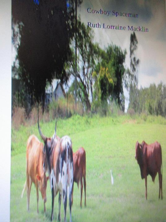 Cowboy Spaceman - Ruth Lorraine Macklin - ebook