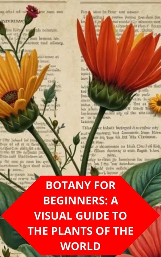 Botany For Beginners: A Visual Guide To The Plants Of The World